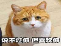 上海伊非网络工作室