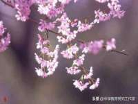 上海伊非网络工作室