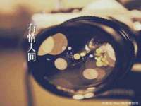 上海伊非网络工作室