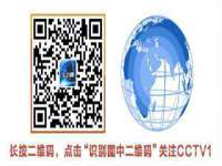 上海伊非网络工作室