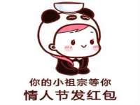 上海伊非网络工作室