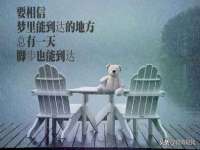 上海伊非网络工作室