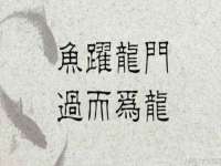上海伊非网络工作室