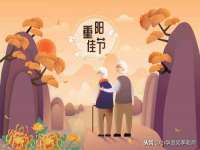 上海伊非网络工作室