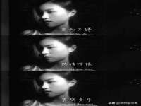 上海伊非网络工作室