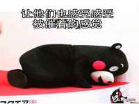 上海伊非网络工作室