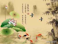 上海伊非网络工作室