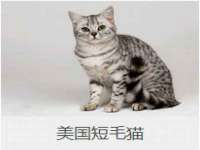 上海伊非网络工作室
