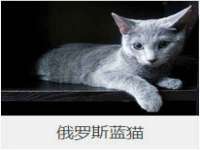 上海伊非网络工作室