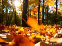 上海伊非网络工作室