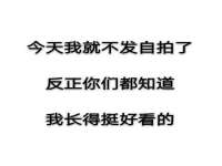 上海伊非网络工作室