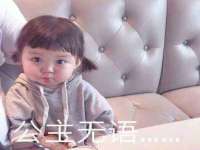 上海伊非网络工作室