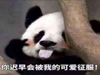 上海伊非网络工作室