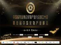 上海伊非网络工作室