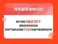 上海伊非网络工作室
