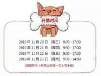 上海伊非网络工作室