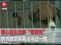 上海伊非网络工作室