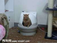 上海伊非网络工作室