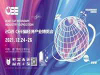 上海伊非网络工作室