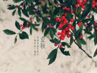 上海伊非网络工作室