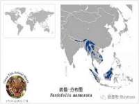 上海伊非网络工作室