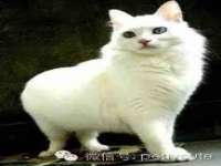 上海伊非网络工作室