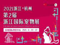 上海伊非网络工作室