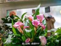 上海伊非网络工作室