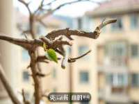 上海伊非网络工作室