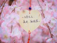 上海伊非网络工作室