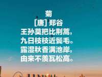 上海伊非网络工作室