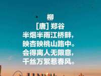 上海伊非网络工作室