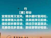上海伊非网络工作室