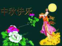 上海伊非网络工作室