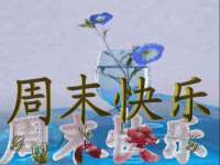 上海伊非网络工作室