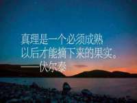 上海伊非网络工作室