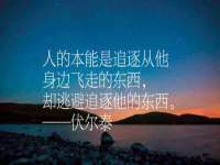 上海伊非网络工作室