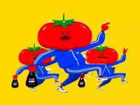 上海伊非网络工作室