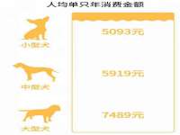 上海伊非网络工作室