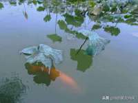 上海伊非网络工作室