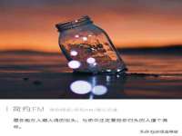 上海伊非网络工作室