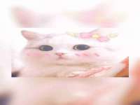 上海伊非网络工作室