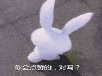 上海伊非网络工作室