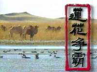 上海伊非网络工作室