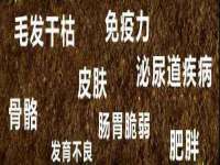 上海伊非网络工作室