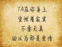 上海伊非网络工作室