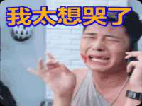 上海伊非网络工作室