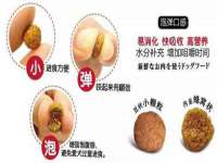 上海伊非网络工作室