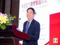 上海伊非网络工作室