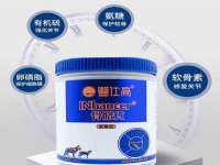 上海伊非网络工作室